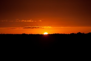 20090803-_MG_6279 - Kopie   